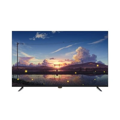 55-palčni SKD Smart 4K Netflix TV